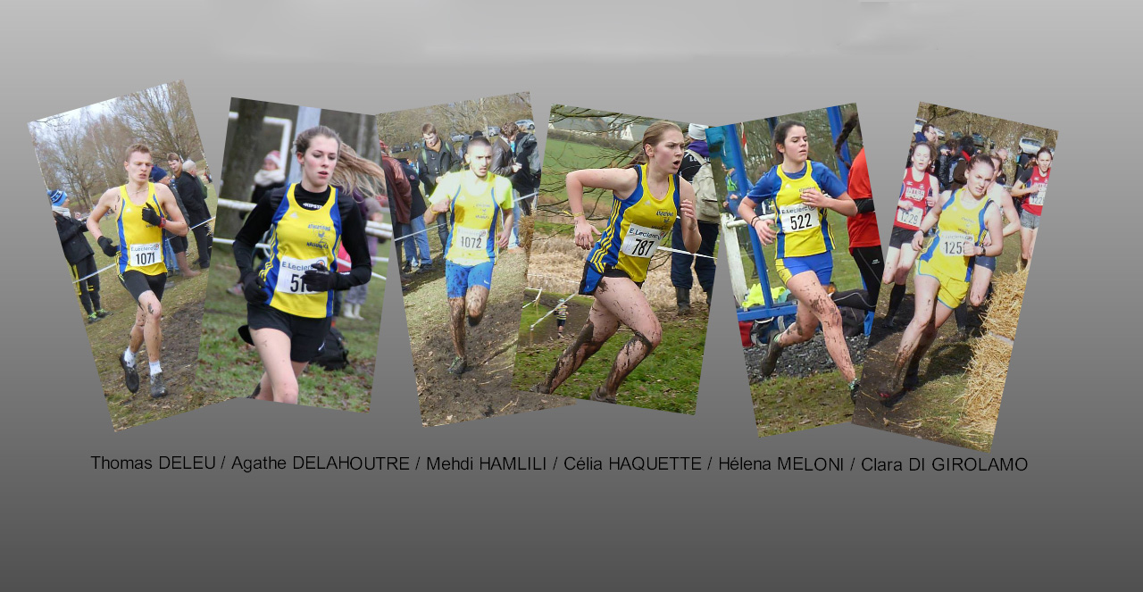 Particip_France_cross_2014.jpg