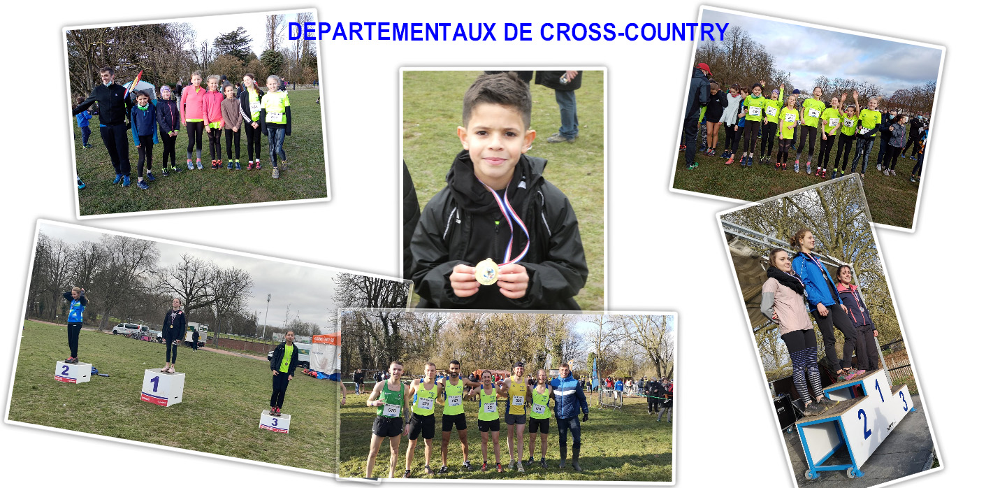 Site_Deepartex_2022_cross.jpg